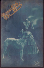 Jeune femme lévrier d'occasion  Bellegarde