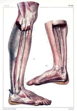 Ml29 vintage medical for sale Ml29 vintage medical for sale  HOLMFIRTH