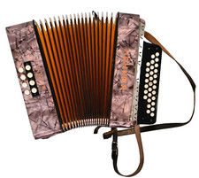 Hohner club akkordeon gebraucht kaufen  Nürnberg