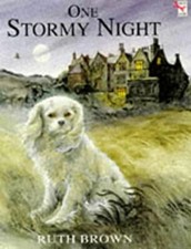 Usado, One Stormy Night Paperback Ruth Brown comprar usado  Enviando para Brazil