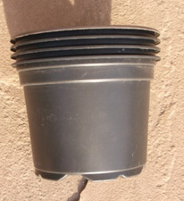 Black plastic plant for sale  LINCOLN