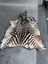 Zebra hide skin for sale  Portland