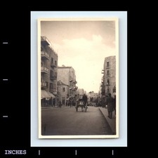 Vintage photo horse for sale  Grass Valley