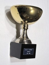 Coppa trofeo premio usato  Milano