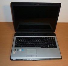 Toshiba l350d 120 gebraucht kaufen  Herxheim