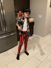 Fantasia infantil Ace Ventura: detetive de animais de estimação Halloween - inclui peruca e não camisa comprar usado Fantasia infantil Ace Ventura: detetive de animais de estimação Halloween - inclui peruca e não camisa comprar usado  Enviando para Brazil