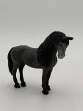 Female friesian horse for sale  Rocklin