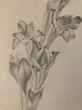 Beautiful drawing 1900 d'occasion  Expédié en Belgium