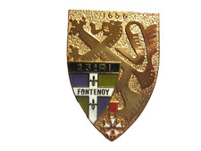 Insigne infanterie fontenoy d'occasion  Saint-Mamert-du-Gard
