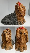 Sandicast large yorkie for sale  Renton