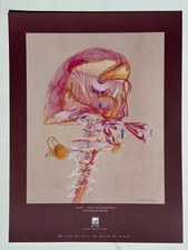 Affiche dessin anatomie d'occasion  Paris XX