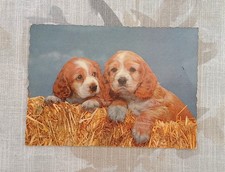 Old postcard photo d'occasion  Expédié en Belgium