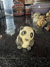 Pot bellys pandy for sale  Sundance