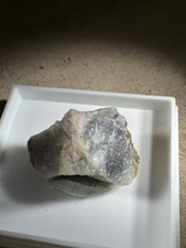 Ged gold schnellingen gebraucht kaufen  Gutach