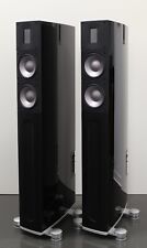 Raidho x2t high gebraucht kaufen  Pforzheim