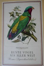 Sammelalbum zigarettenbilder gebraucht kaufen  Nürnberg