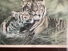 Tiger limited edition for sale  CONSETT