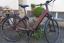 Bike damen zoll gebraucht kaufen  Langenselbold