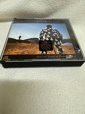 Usado, Delicate Sound of Thunder - Pink Floyd - GOOD CONDITION!!! comprar usado  Enviando para Brazil