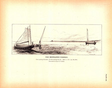 Menhaden seine nets for sale  Navarre