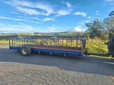 Watson head sheep for sale  CARNFORTH