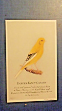 Border fancy canary for sale  BATH