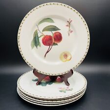 Queen bone china for sale  Willow Grove