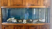 Acquario 800 litri usato  San Benedetto Val di Sambro
