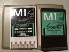 Korg doppie card usato  Vercelli
