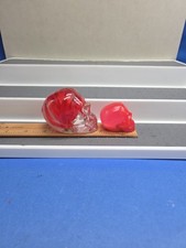 Custom skulls multi for sale  Allyn