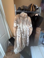Gorgeous vintage lynx for sale  Staten Island