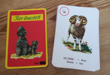 Tier quartett vollständiges gebraucht kaufen  Hammersbach