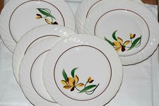 Lot assiettes plates d'occasion  Dieulefit
