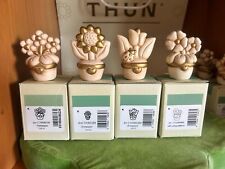 thun scatola usato  Rimini