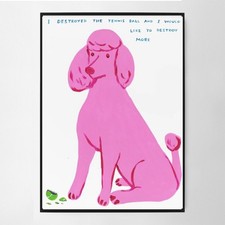 Usado, Pôster impresso David Shrigley I destruí a bola de tênis comprar usado  Enviando para Brazil
