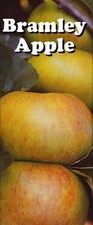 Hardy fruit tree for sale  BIRMINGHAM