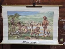 Rollkarte ddr affenmensch gebraucht kaufen  Grünhainichen