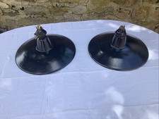 Coppia lampadari lamiera usato  Zocca
