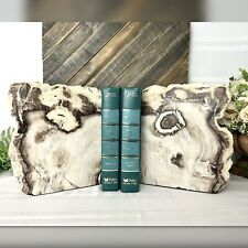 Petrified wood bookends for sale  Scottsdale