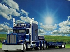 Dcp peterbilt 389 for sale  Albany