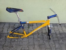 Rarität corratec free gebraucht kaufen  Nürnberg