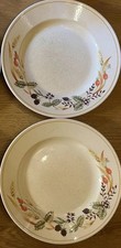 Churchill bramble fayre for sale  BURTON-ON-TRENT
