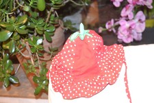 Erdbeeren mütze verkleidung gebraucht kaufen  Lüdenscheid