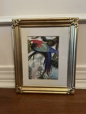8x10 print parrot for sale  Jacksonville