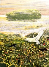 Robert carroll litografia usato  Arcisate
