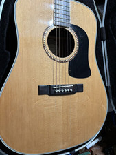 D10s washburn acoustic for sale  Monroe Township