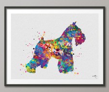 Miniature schnauzer watercolor for sale  HOUGHTON LE SPRING