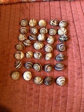 35xschneckenhäuser 4cm gebrau gebraucht kaufen  Schiffweiler