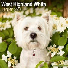 Calendrier west highland d'occasion Calendrier west highland d'occasion  Torreilles