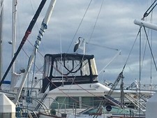 Searay 360 aft for sale  Seattle